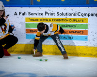 Cross-Check Cancer night 1-28-23 Paint the ice photos
