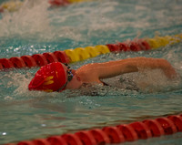 PNS_3738